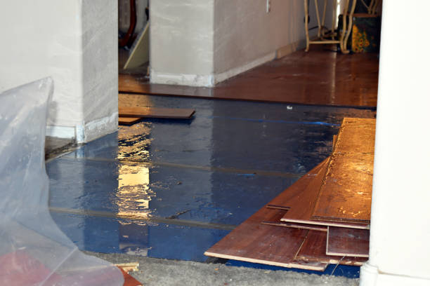 Professional Burst Pipe Cleanup technician working in Wasco, IL